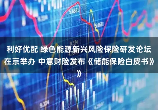 利好优配 绿色能源新兴风险保险研发论坛在京举办 中意财险发布《储能保险白皮书》