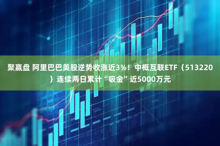 聚赢盘 阿里巴巴美股逆势收涨近3%！中概互联ETF（513220）连续两日累计“吸金”近5000万元